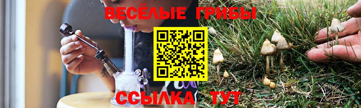 как найти   Вход с VPN  Дальнереченск  Галлюциногенные грибы мицелий 